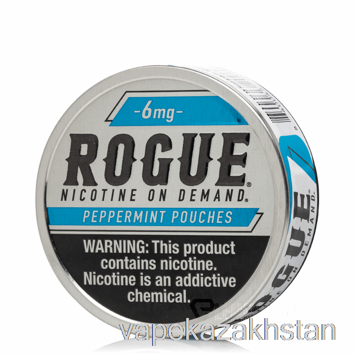 Vape Disposable ROGUE Nicotine Pouches - PEPPERMINT 6mg